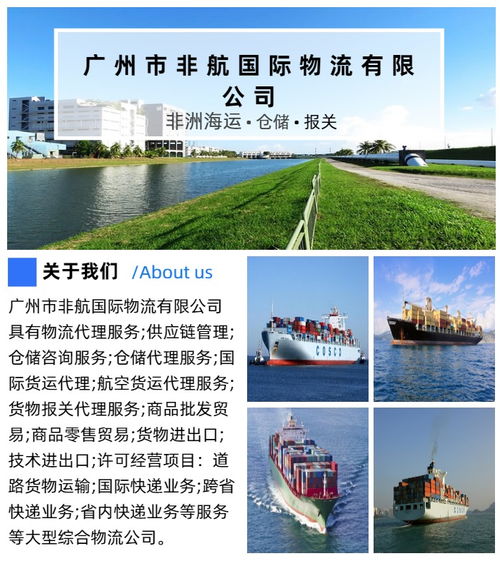 廣州至坦桑尼亞專(zhuān)線(xiàn)費(fèi)用解析及數(shù)據(jù)處理服務(wù)