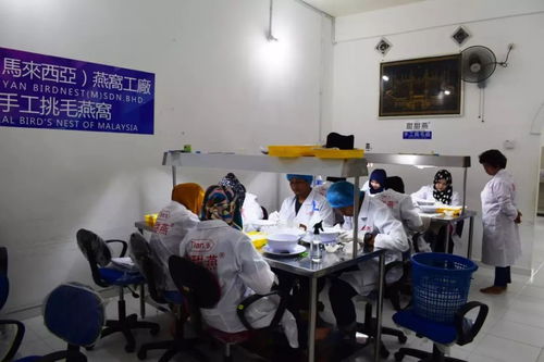 福利已備好！南寧人想不到的年味，都藏在這份晶瑩剔透之中